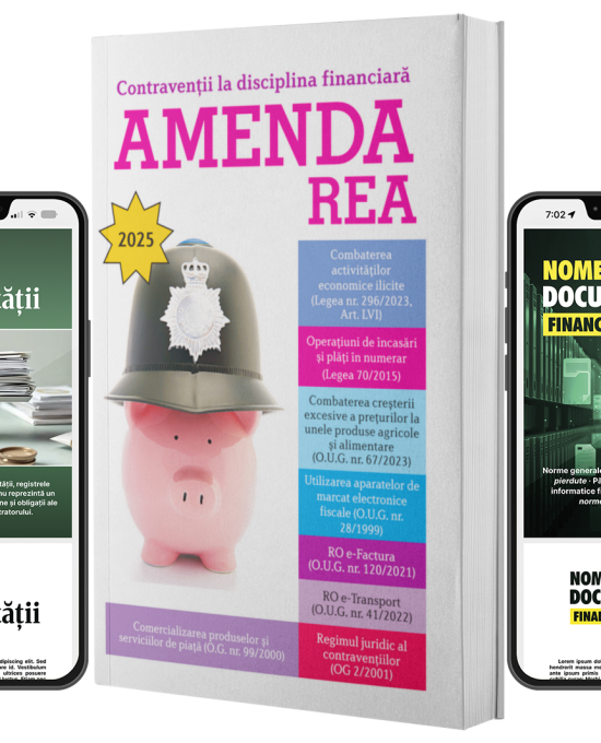 Pachet – Amenda rea, Nomenclatorul documentelor financiar-contabile, Legea contabilitatii